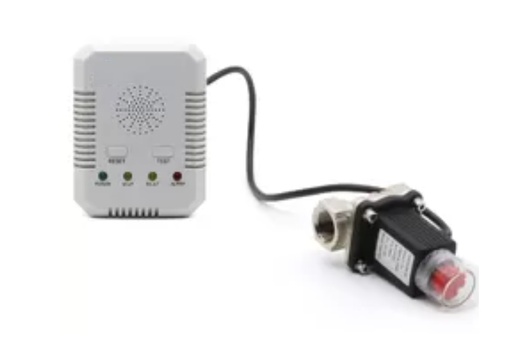[105489061] Automatic gas valve with Leak Detector